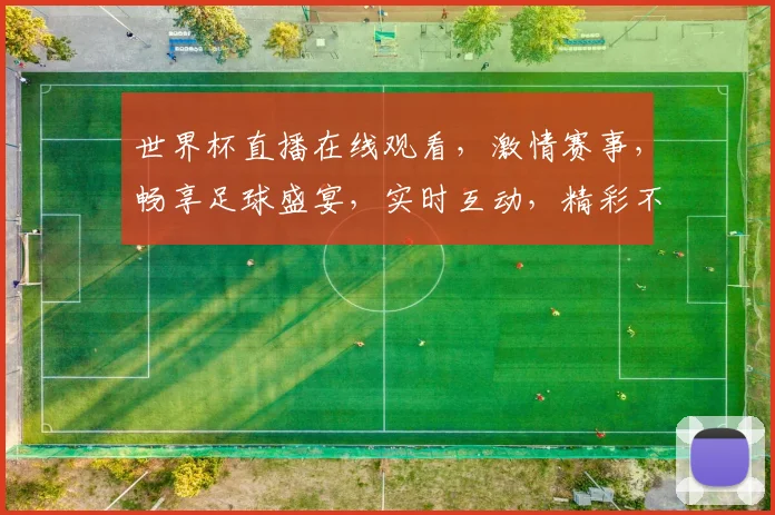 世界杯直播在线观看，激情赛事，畅享足球盛宴，实时互动，精彩不容错过，错过等一年