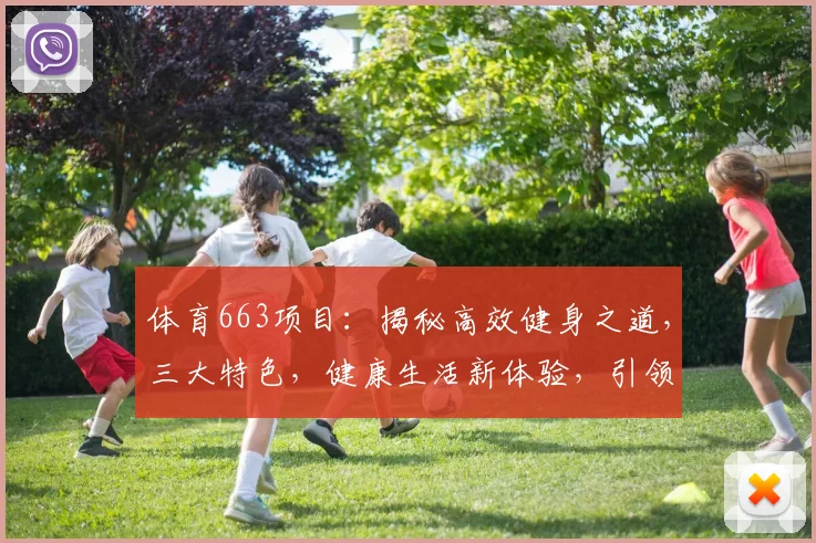 体育663项目：揭秘高效健身之道，三大特色，健康生活新体验，引领运动潮流